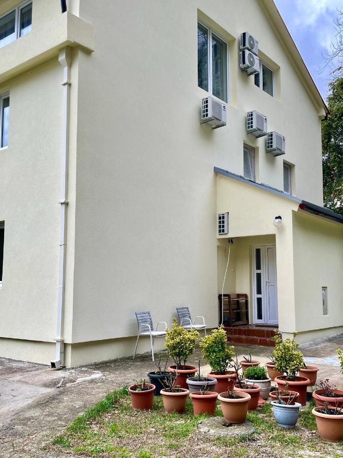 Apartments Lav Kotor Exterior photo